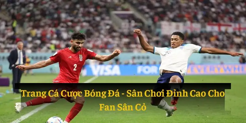 Top trang các cược bóng đá uy tín nhất 2025